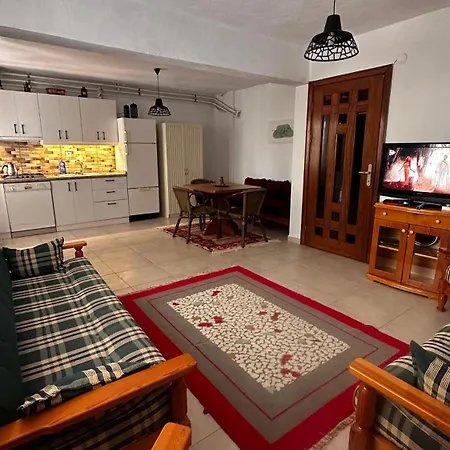 Apartment Gueneyli Spacious Flat *